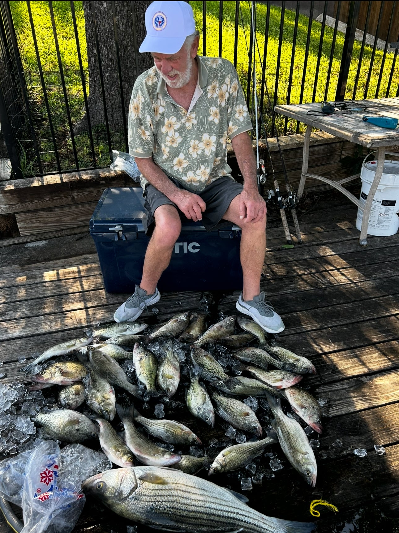 Fishing Trips