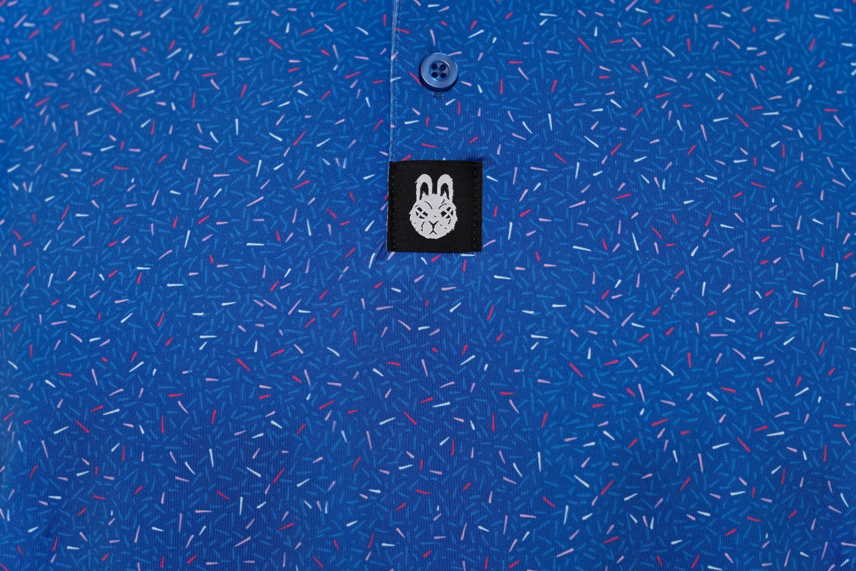 The Big Bang Polo