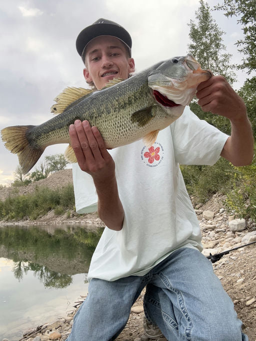 Pond Hopper Bait Box