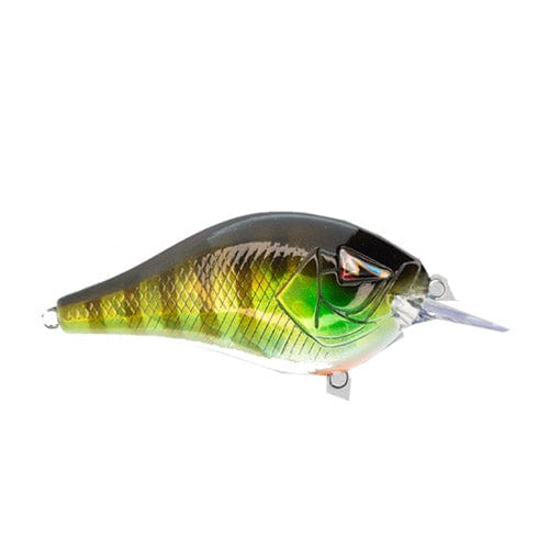 Squarebill Crankbait