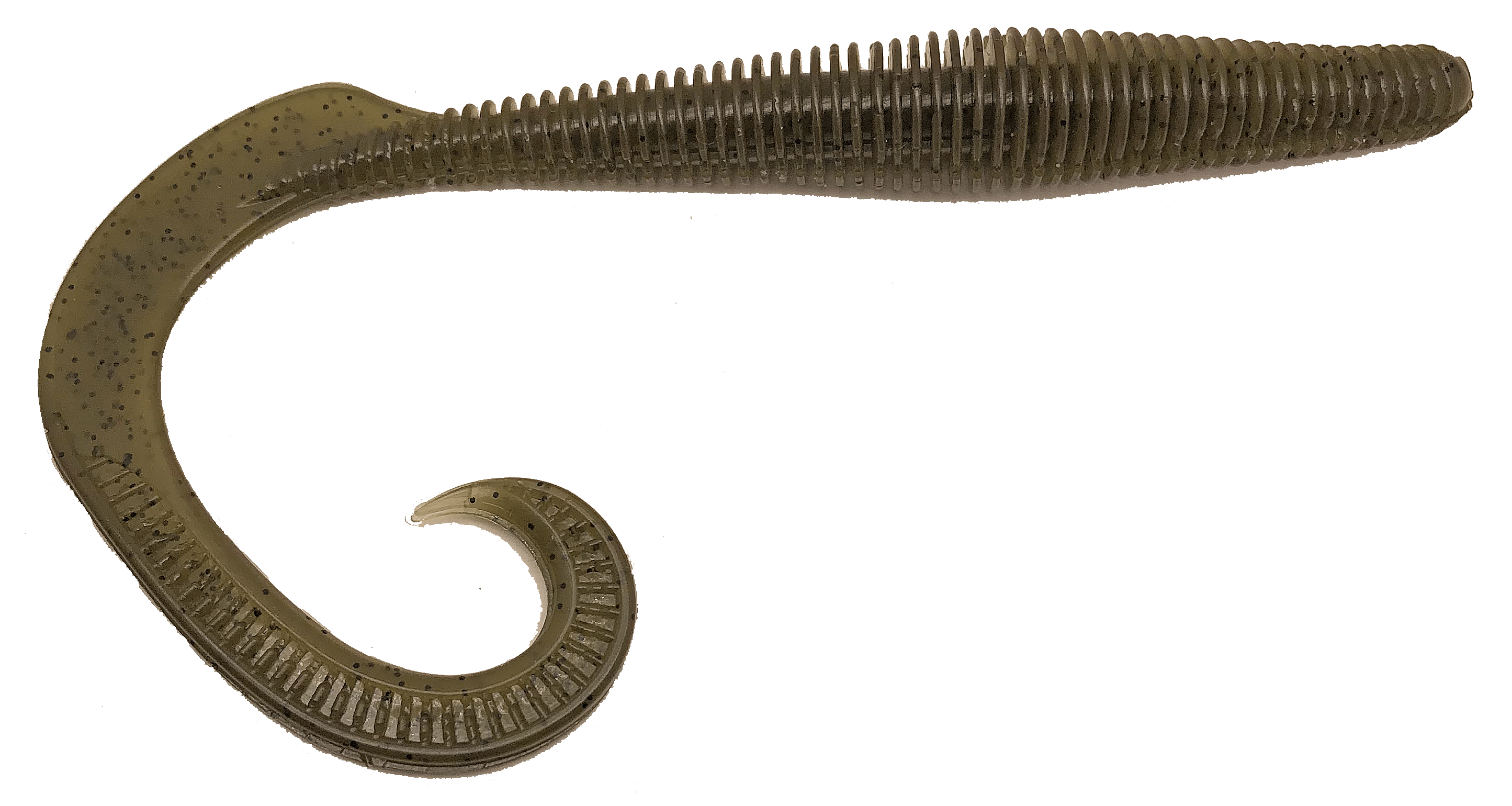 Megatail Rattlesnake