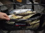 Treasure Chest - Mesh Live Well Bag