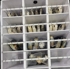 Swimbait Hanger - 2 Sizes Available OR Extra Clips - Keep Casting Fishing & Outdoors