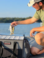 Swimbait Hanger - 2 Sizes Available OR Extra Clips - Keep Casting Fishing & Outdoors