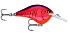 Rapala DT Series 6' 3/8 2
