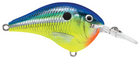 Rapala DT Series 6' 3/8 2