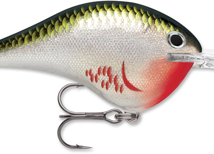 Rapala DT Series 10' 3/5oz 2.25in Bleeding Olive Shiner