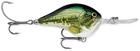Rapala DT Series 10' 3/5oz 2.25in Live River Shad