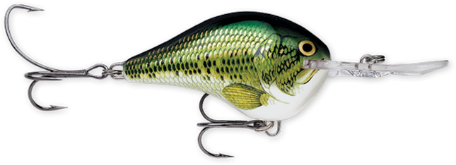 Rapala DT Series 10' 3/5oz 2.25in Live River Shad
