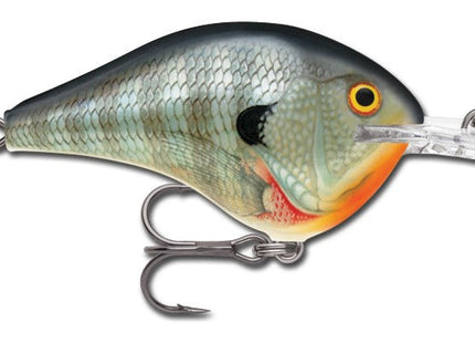 Rapala DT Series 3/4 Blue Gill