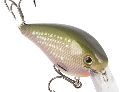 Strike King Series KVD1.5 Elite Series  - 5/8oz 3-5ft River Shiner