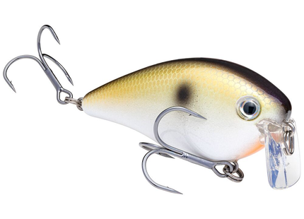 Strike King Series KVD Series Wait Bait 2.5" 3/8 oz. TN Shad 2.0