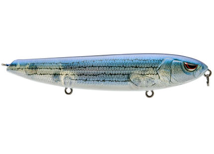 Spro Walking Haint 125 5in 3/4oz Baby Striper