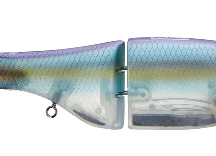 Spro KGB Series Chad Shad 180 7in 2.4oz Gizzard Shad
