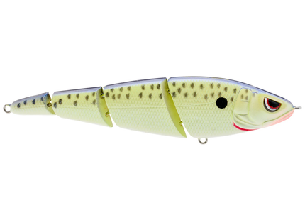 Spro SaShimmy Swimmer 125 5in 3/4oz Cell Mate