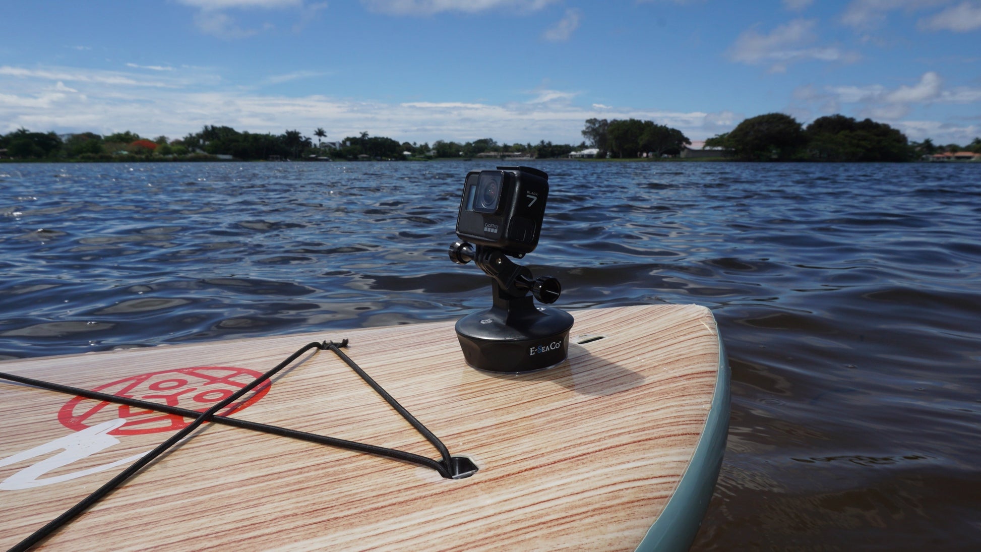 E-Sea Camera Mount-Suction Mounted Camera Mount - Keep Casting Fishing & Outdoors