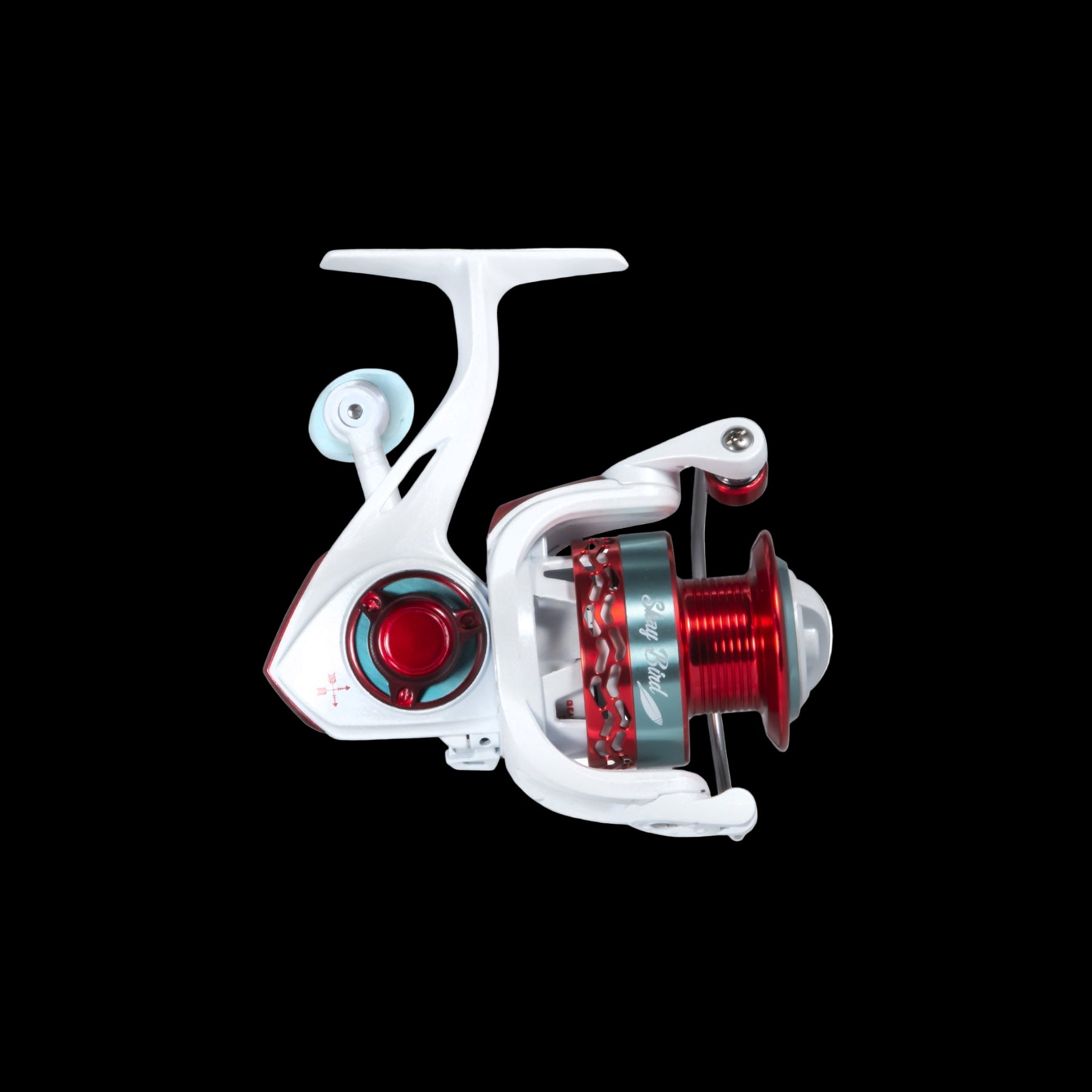 Shay Bird Spinning Combo