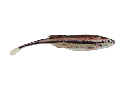 Berkley PowerBait Drip Minnow 4 Inch Blacknose Shiner 5ct - Keep Casting Fishing & Outdoors