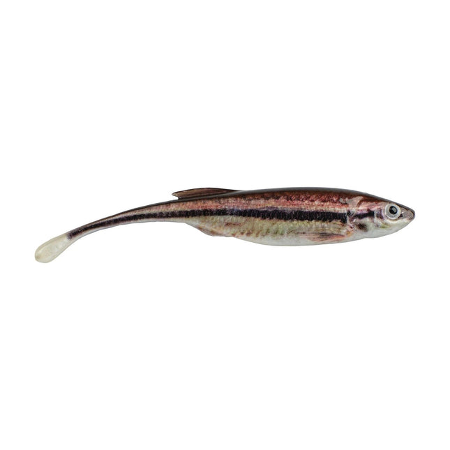 Berkley PowerBait Drip Minnow 4 Inch Blacknose Shiner 5ct - Keep Casting Fishing & Outdoors