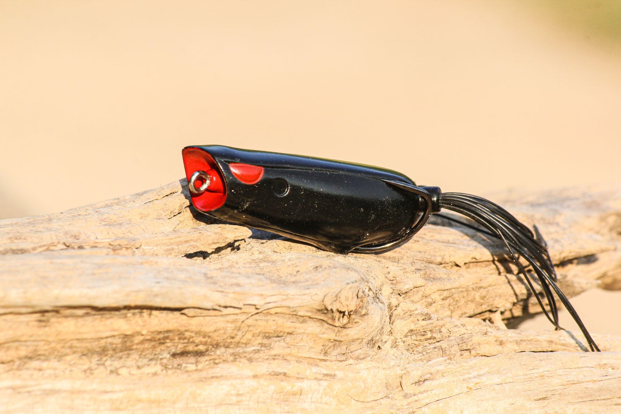 The Ultimate Frog & Toad Box – Handpicked by Shaye Baker! 🐸