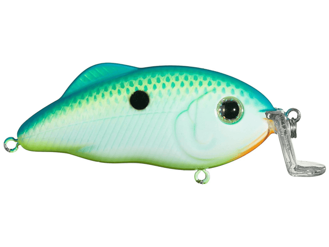 Strike King Hybrid Hunter Jr 1/2oz 3in Citrus Shad - Keep Casting Fishing & Outdoors