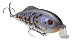 Strike King Hybrid Hunter Jr Shallow 7/16oz 3in Blue Craw - Keep Casting Fishing & Outdoors