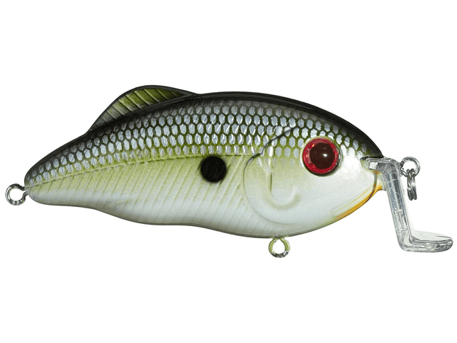 Strike King Hybrid Hunter Jr Shallow 7/16oz 3in Muh Knee Shad - Keep Casting Fishing & Outdoors