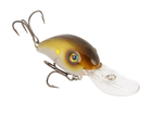 Strike King Series 5XD Elite - 5/8oz Mirage AYU - Keep Casting Fishing & Outdoors