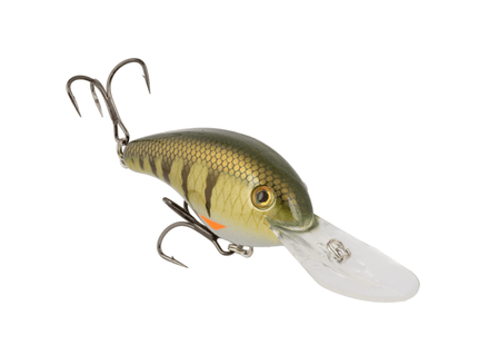 Strike King Series 5XD Elite - 5/8oz Pro Phantom Perch - Keep Casting Fishing & Outdoors