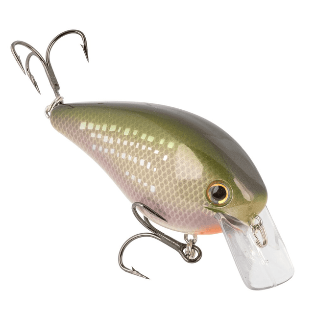 Strike King Series KVD1.5 Elite Series - 5/8oz 3 - 5ft River Shiner - Keep Casting Fishing & Outdoors